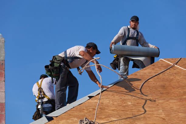 Quick and Trustworthy Emergency Roof Repair Services in Pine Castle, FL